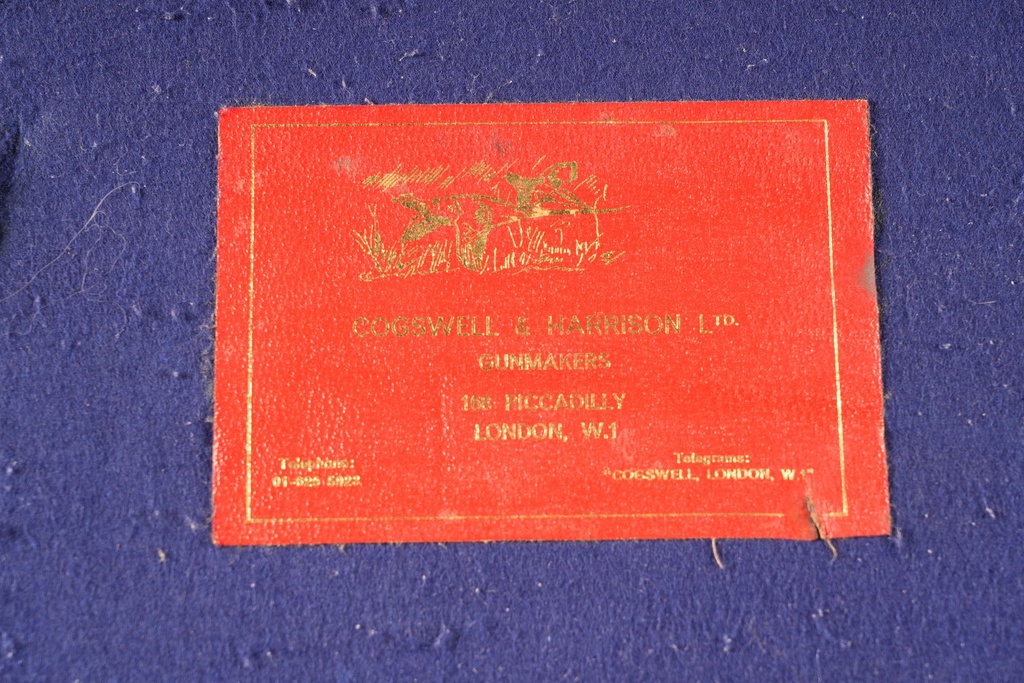 62475_3.jpg