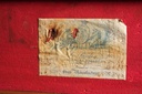 46187_3.jpg