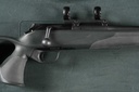 50531_2.jpg