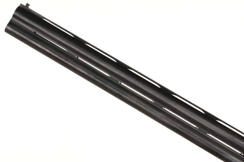 53934_15.jpg