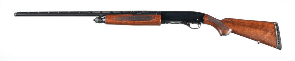 68409_5.jpg