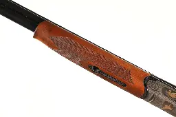 47475_13.webp