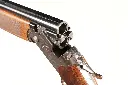 47517_18.webp