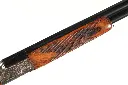 47521_7.webp