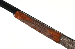 47520_14.webp