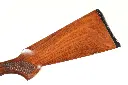 47363_12.webp