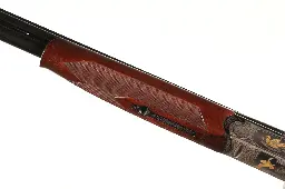 47474_13.webp