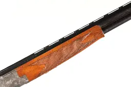 47513_4.webp