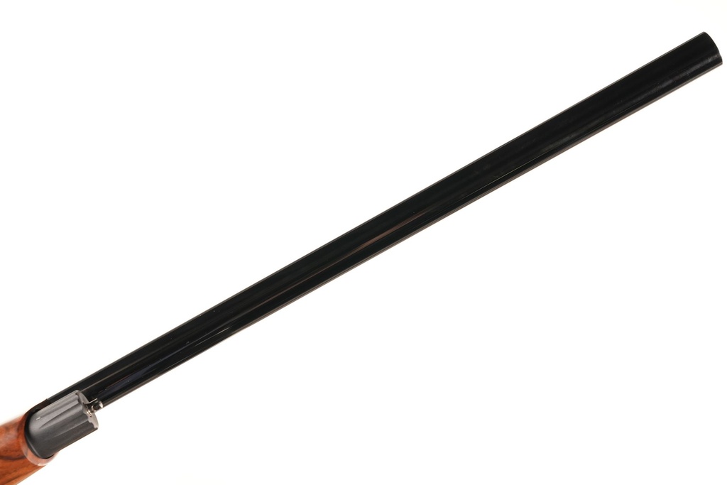 47954_14.jpg