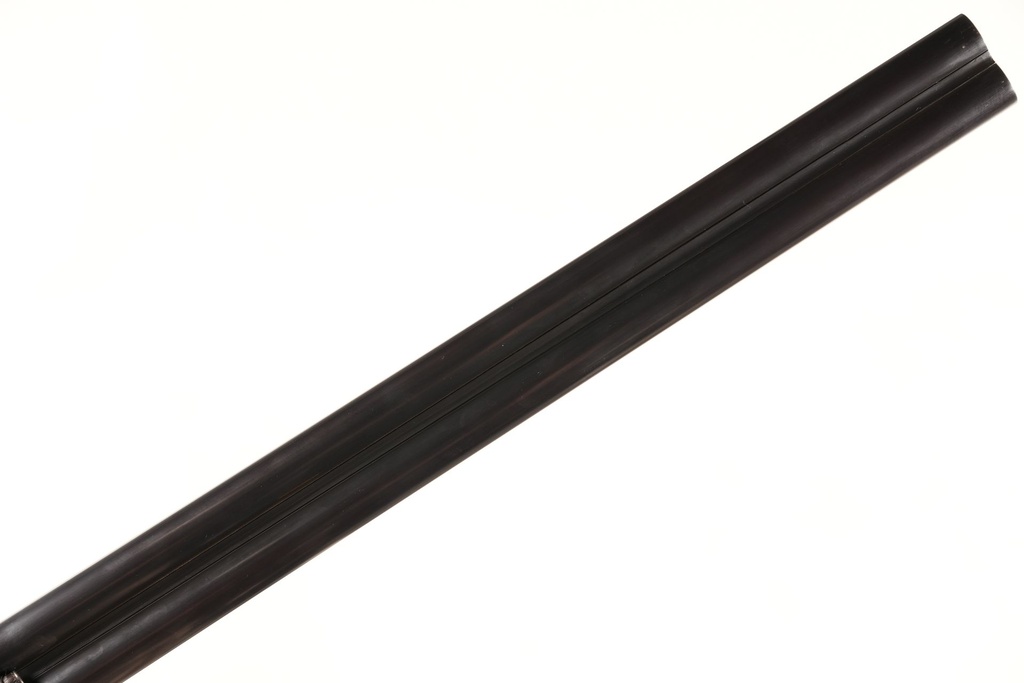 49955_13.jpg