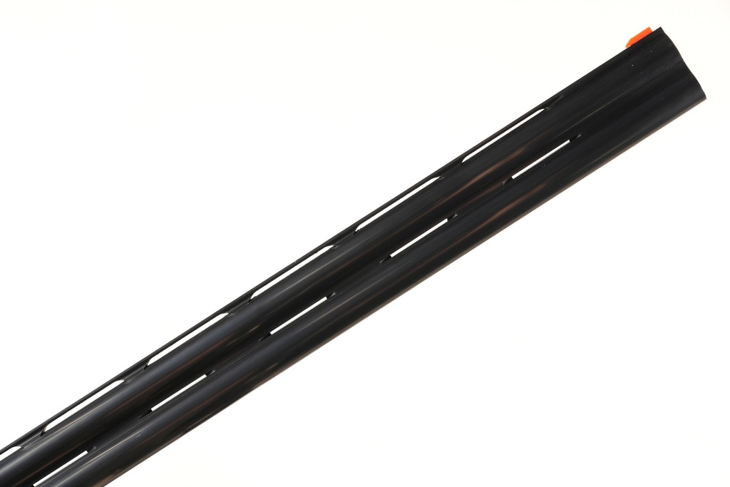 49950_15.jpg