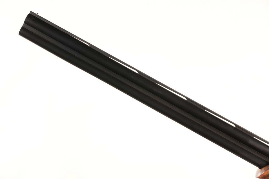 49941_14.jpg