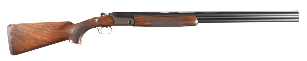 50036_5.jpg