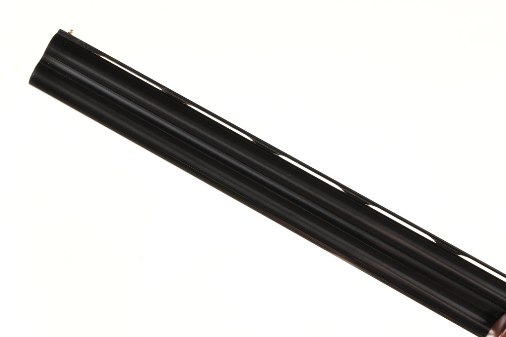 49863_14.jpg
