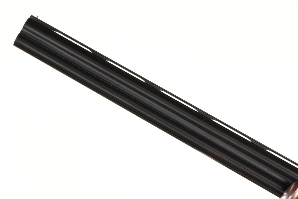 50557_13.jpg