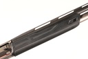 50537_7.jpg