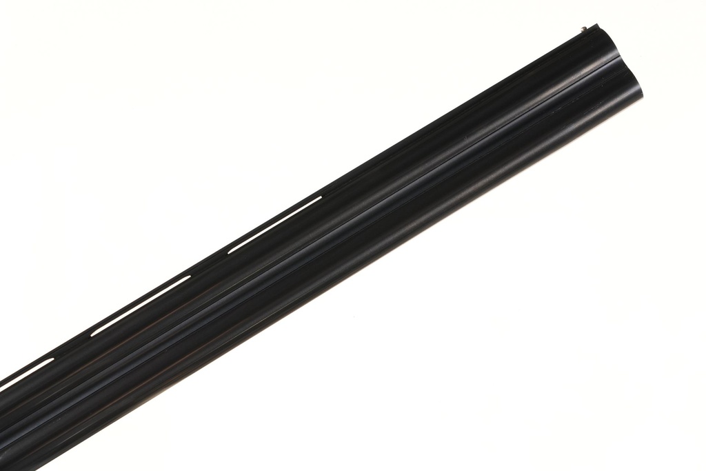 50544_8.jpg