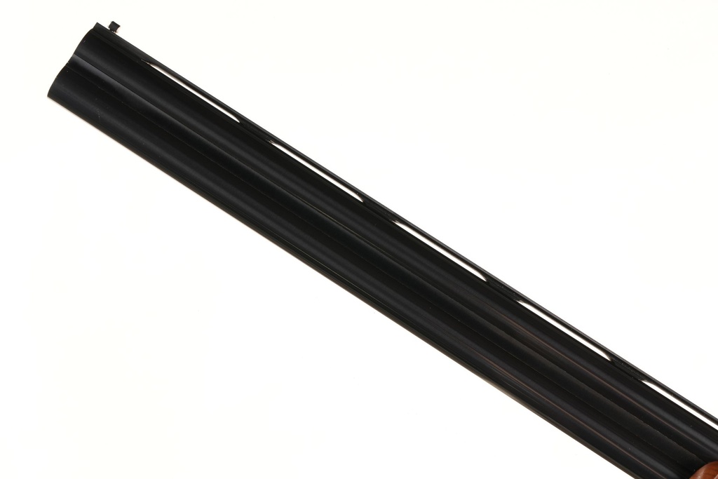 50554_14.jpg