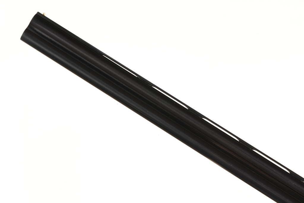 50948_13.jpg