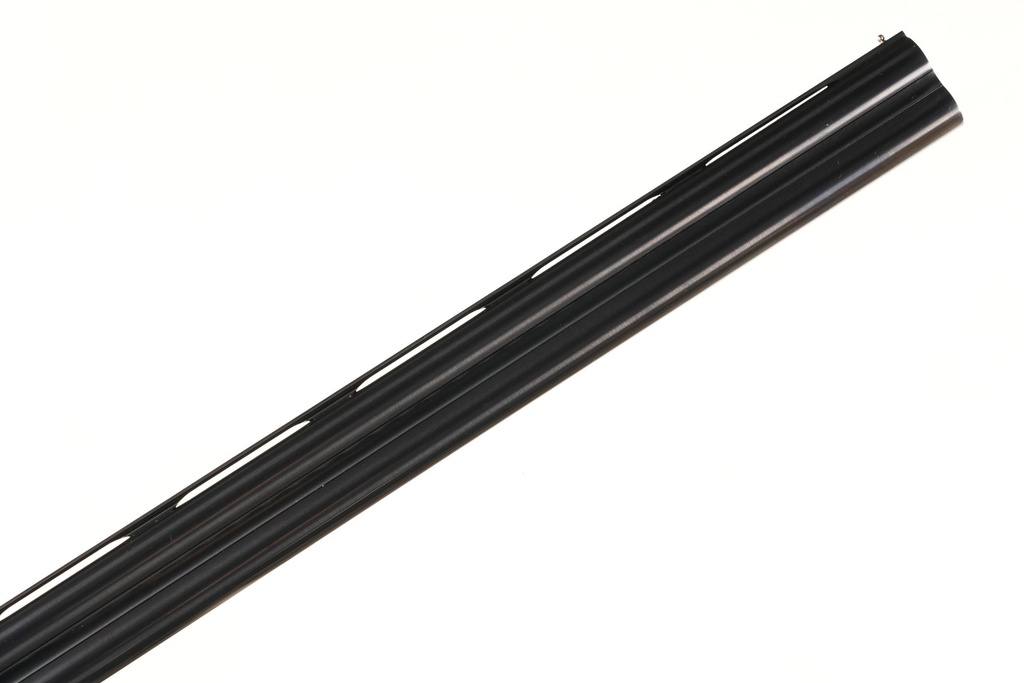 50962_8.jpg