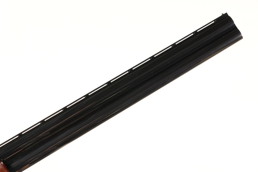 50547_8.jpg