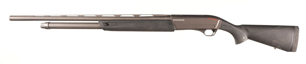 50495_5.jpg