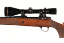 50745_4.jpg