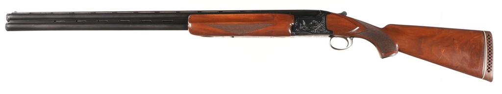 50958_5.jpg