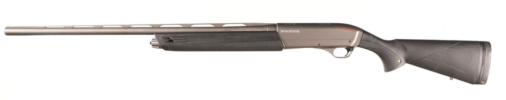 50498_5.jpg