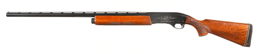 55895_5.jpg
