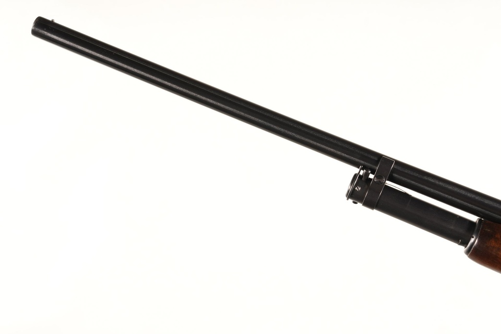 61991_11.jpg