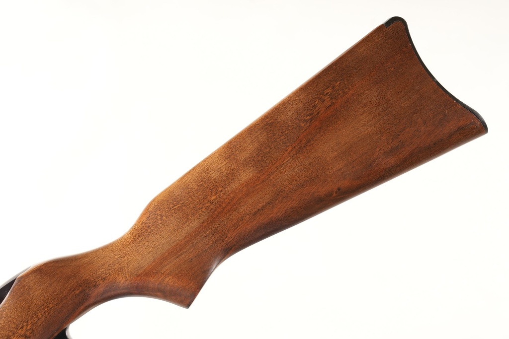 46000 Ruger 10/22 Magnum Semi Rifle .22 mag