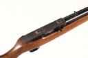 46000 Ruger 10/22 Magnum Semi Rifle .22 mag