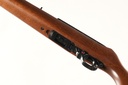 46001 Ruger 10/22 Magnum Semi Rifle .22 mag