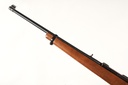 46001 Ruger 10/22 Magnum Semi Rifle .22 mag