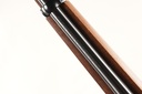 46001 Ruger 10/22 Magnum Semi Rifle .22 mag
