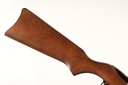 46001 Ruger 10/22 Magnum Semi Rifle .22 mag