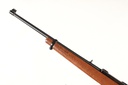 46002 Ruger 10/22 Magnum Semi Rifle .22 mag