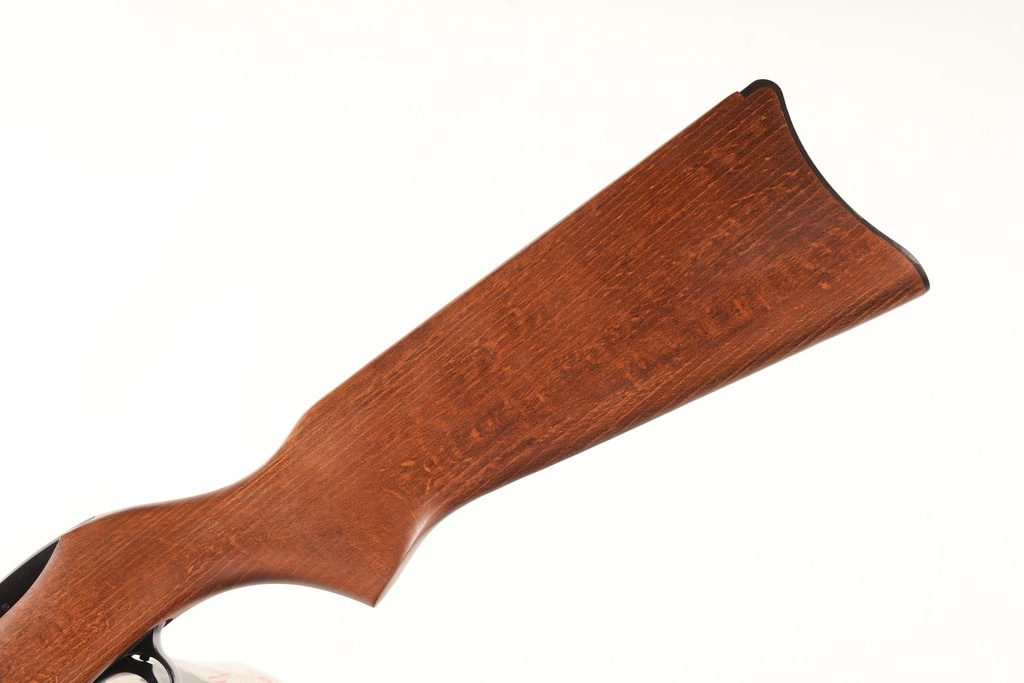 46002 Ruger 10/22 Magnum Semi Rifle .22 mag