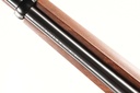 46002 Ruger 10/22 Magnum Semi Rifle .22 mag