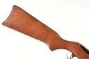 46002 Ruger 10/22 Magnum Semi Rifle .22 mag