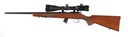 66455_5.jpg