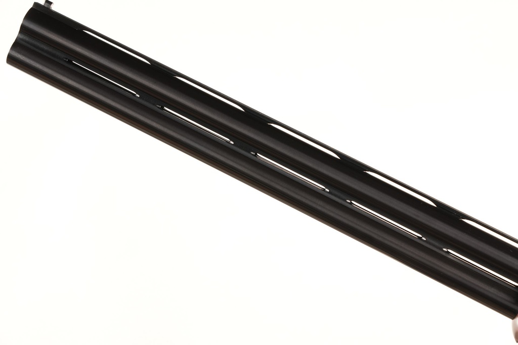 53927_15.jpg