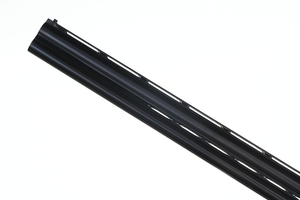 57416_15.jpg