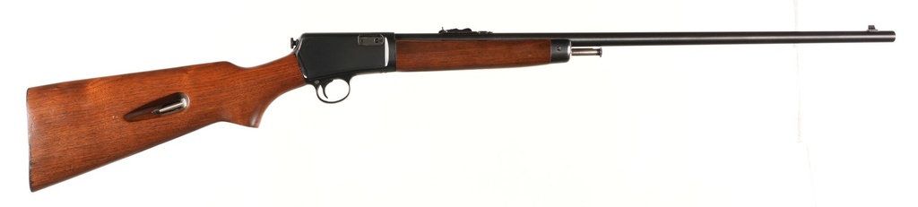 44122_2.jpg