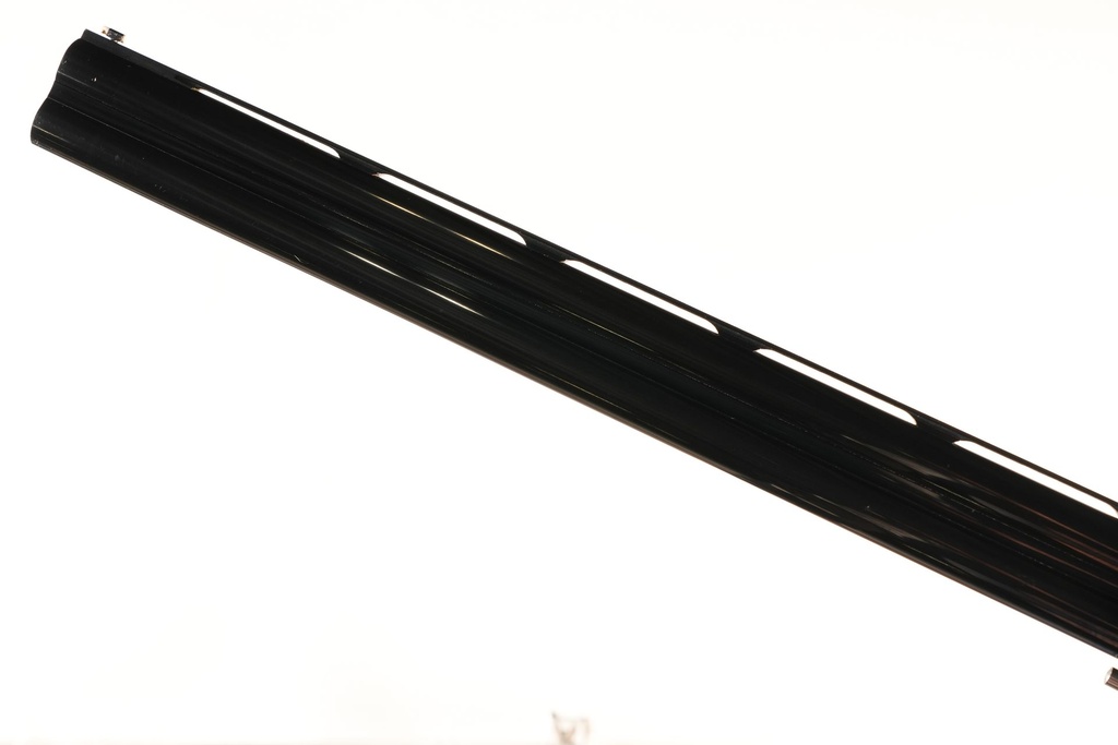 81095_17.jpg