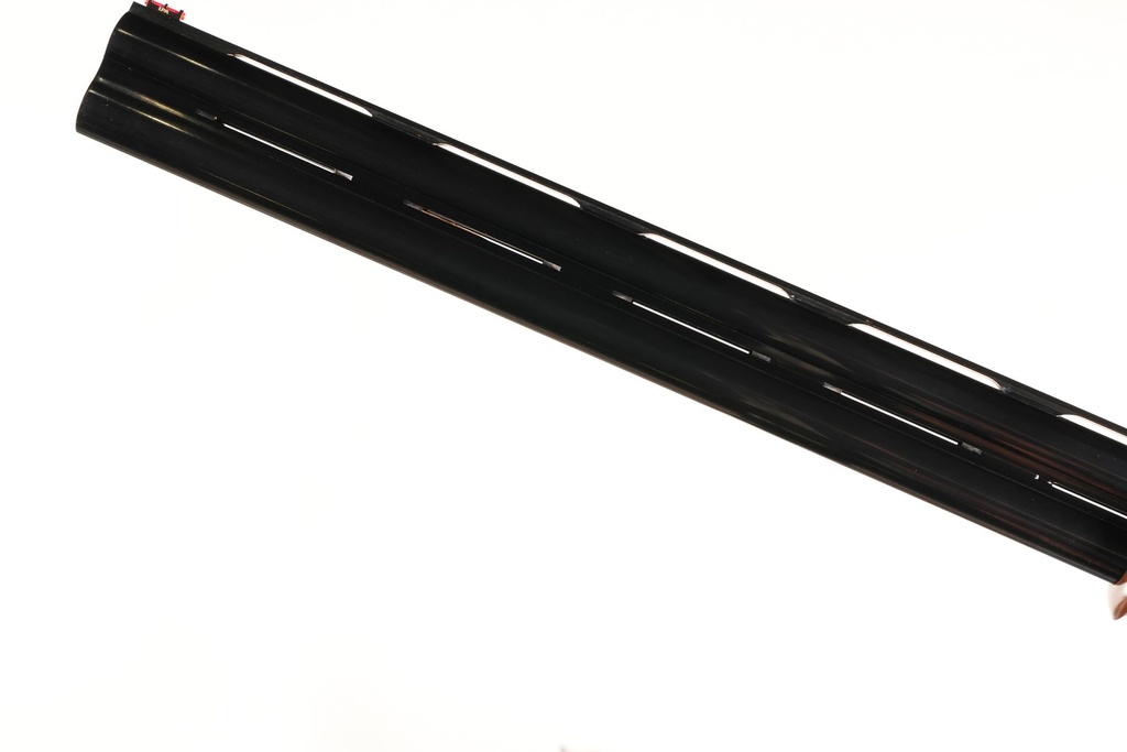 81105_17.jpg