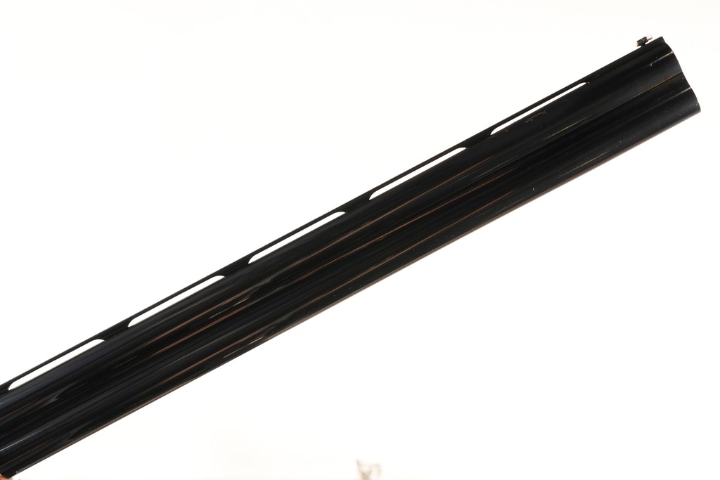 81095_16.jpg
