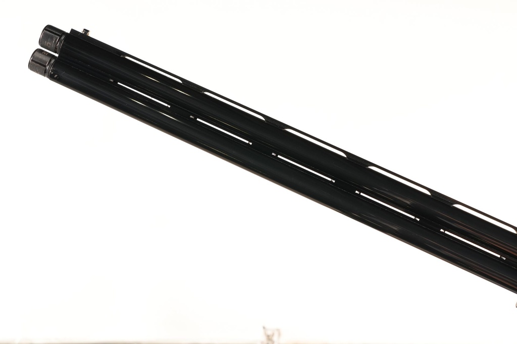 81261_17.jpg