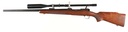 61973_5.jpg